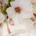 Foto de perfil de Teste teste